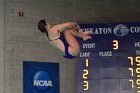 Women's Diving  Wheaton College Women’s Diving vs Mount Holyoke College. - Photo by Keith Nordstrom : Wheaton, Swimming & Diving